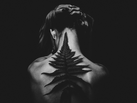 Roamcast 24: Scars & Lamentations Roamcast 24: Scars & Lamentations