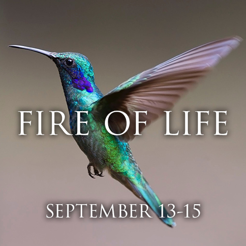 Sept 2019 – Fire Of Life Sept 2019 – Fire Of Life