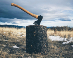 Whole Man Academy Interview 2026